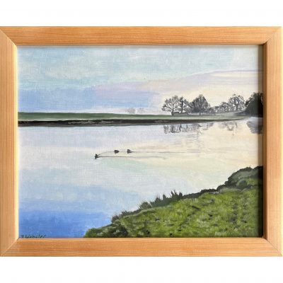 Webster, J – Ducks on the River Wye