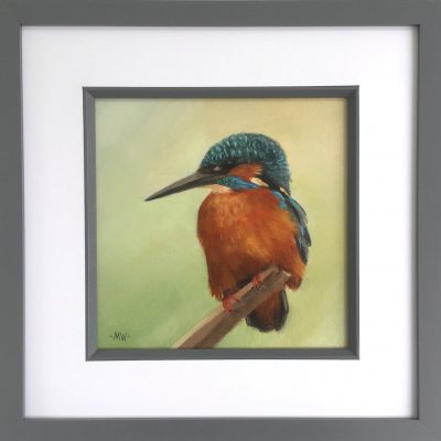Wood – Kingfisher