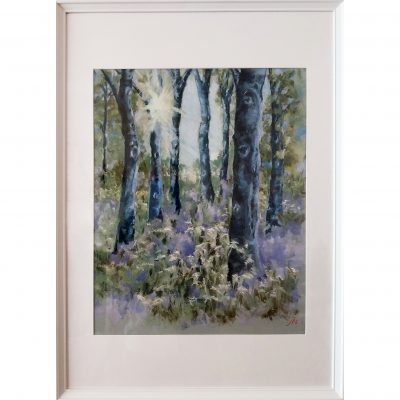 Southeran – Bluebell Wood