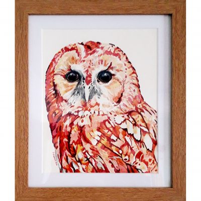 Shepherd – Tawny Owl