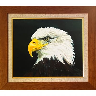 Ward – Bald Eagle