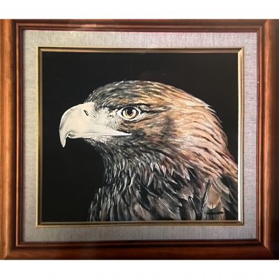 Ward – Golden Eagle