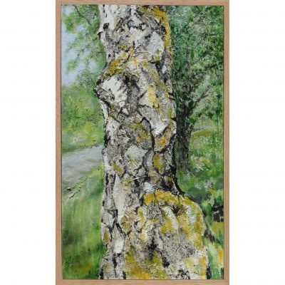 Allcock – Millstone Birch